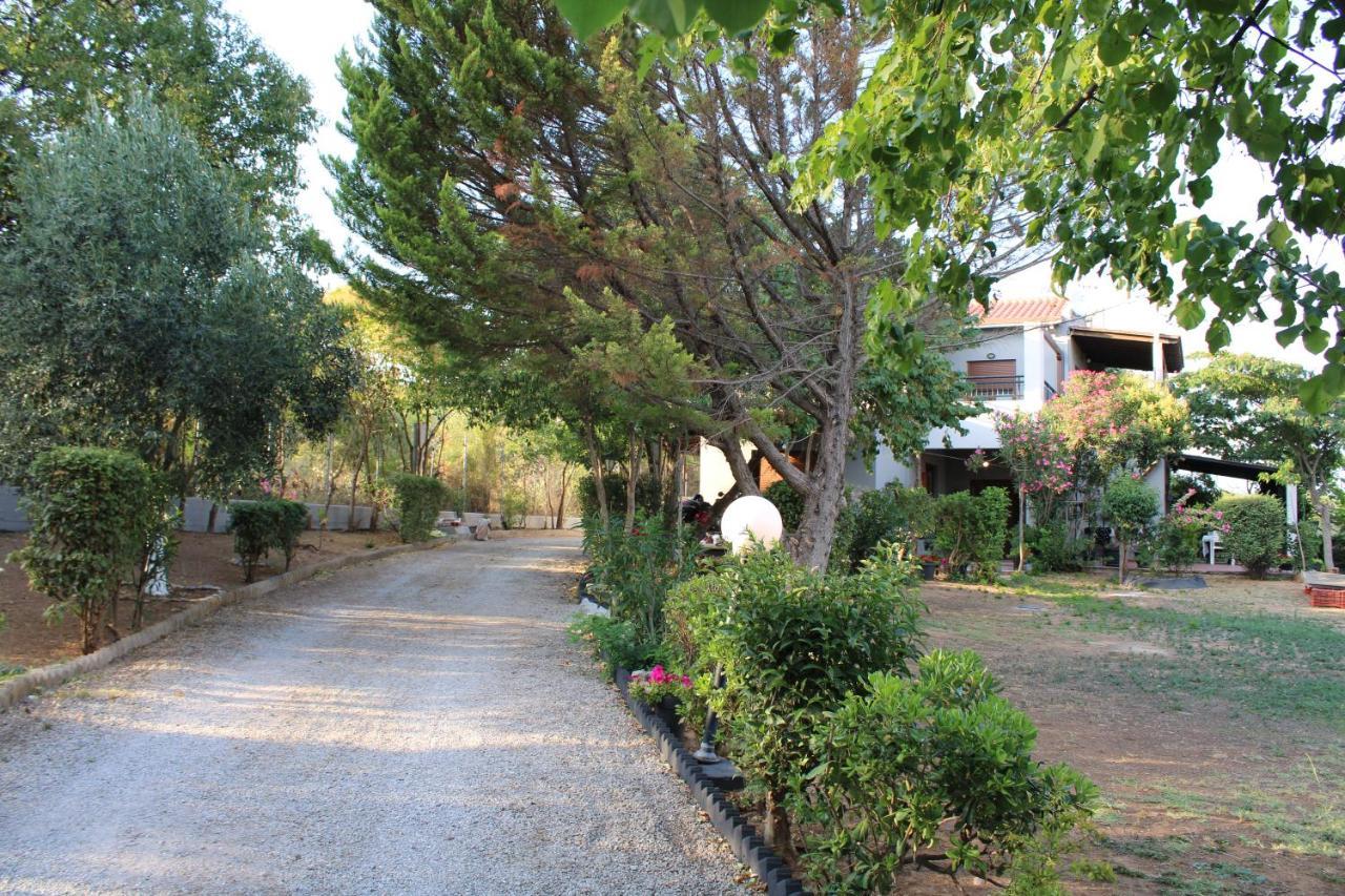 Anastasia Makri Luaran gambar