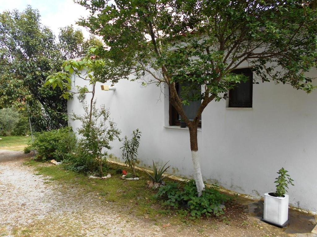 Anastasia Makri Luaran gambar