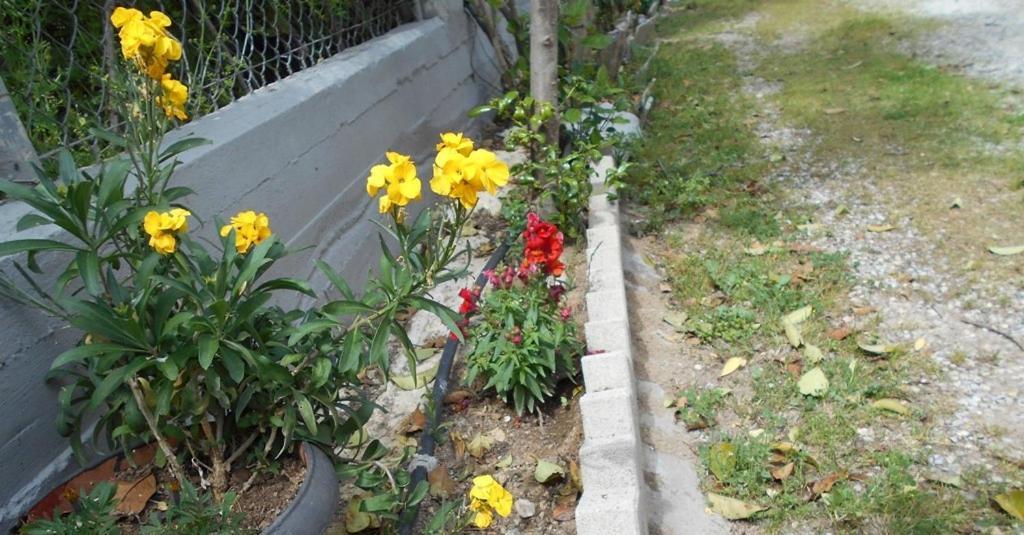 Anastasia Makri Luaran gambar